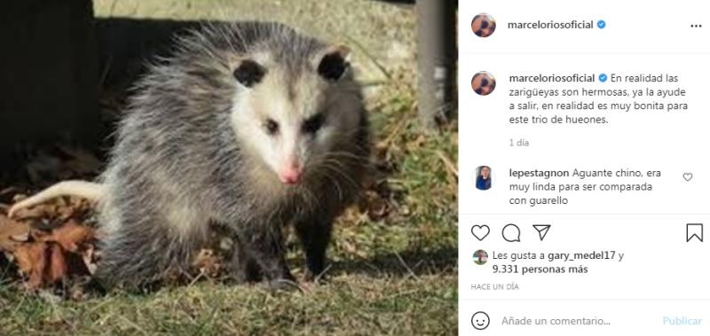 Marcelo Ríos se lanza otra vez contra Daniel Fuenzalida