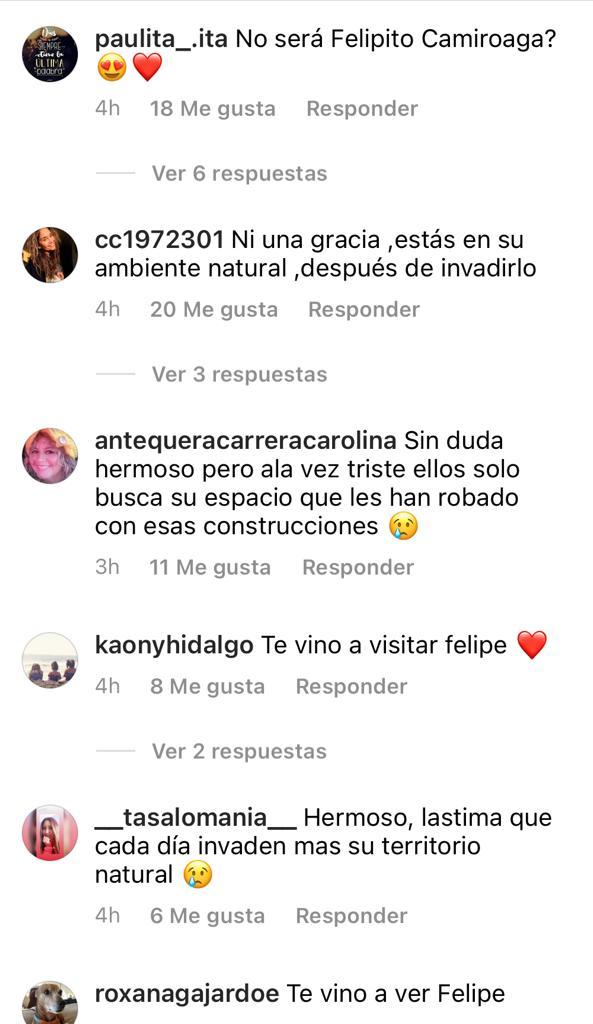 Fotos de Carla Ochoa reflotan su romance con Felipe Camiroaga