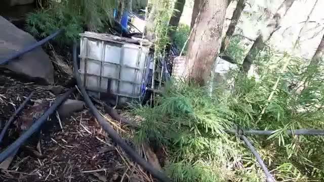 Velo de la novia, la cascada plagada de mangueras