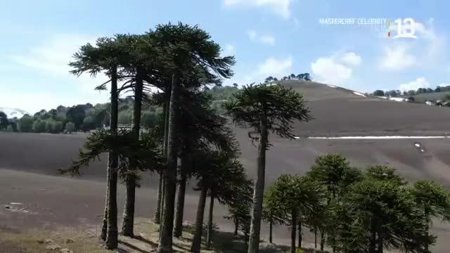 Claudio Iturra descubre la belleza de Malalcahuello