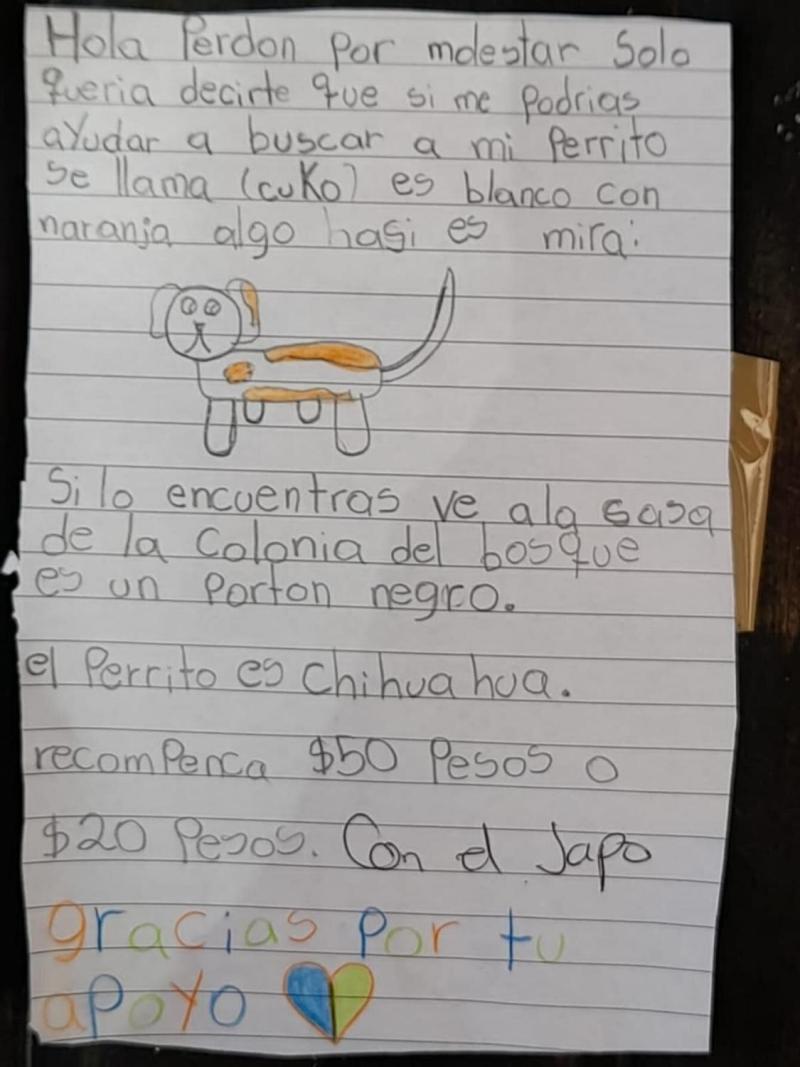 niña carta para buscar a su perro