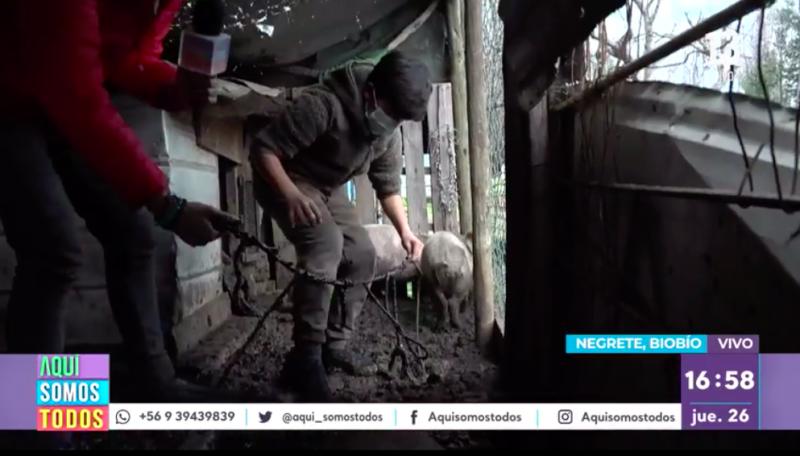 “Eso no es barro”: Notero de Aquí Somos Todos vive asqueroso chascarro