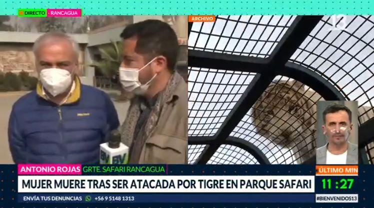 Mujer muere tras ser atacada por tigre en Parque Safari de Rancagua
