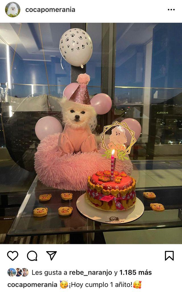 Nano Calderón muestra el primer cumpleaños de su perra