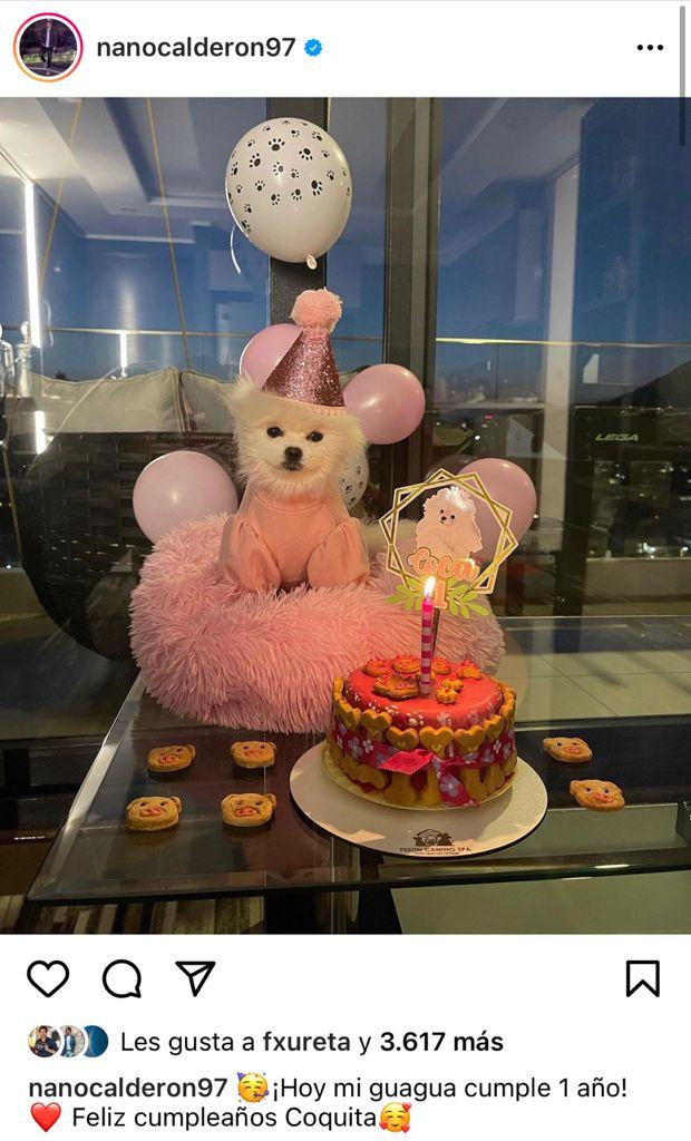 Nano Calderón muestra el primer cumpleaños de su perra