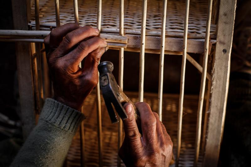 Subsidio al Nuevo Empleo