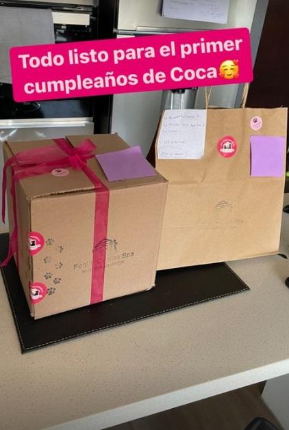 Nano Calderón muestra el primer cumpleaños de su perra