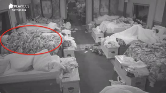 Impacto por presunta violación de Dayane Mello en reality