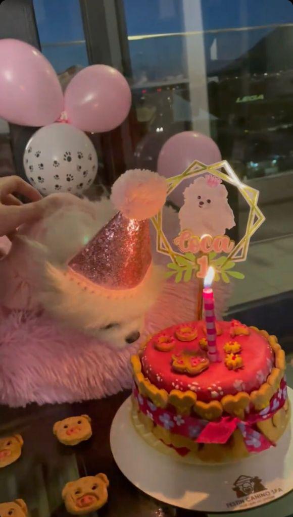 Nano Calderón muestra el primer cumpleaños de su perra