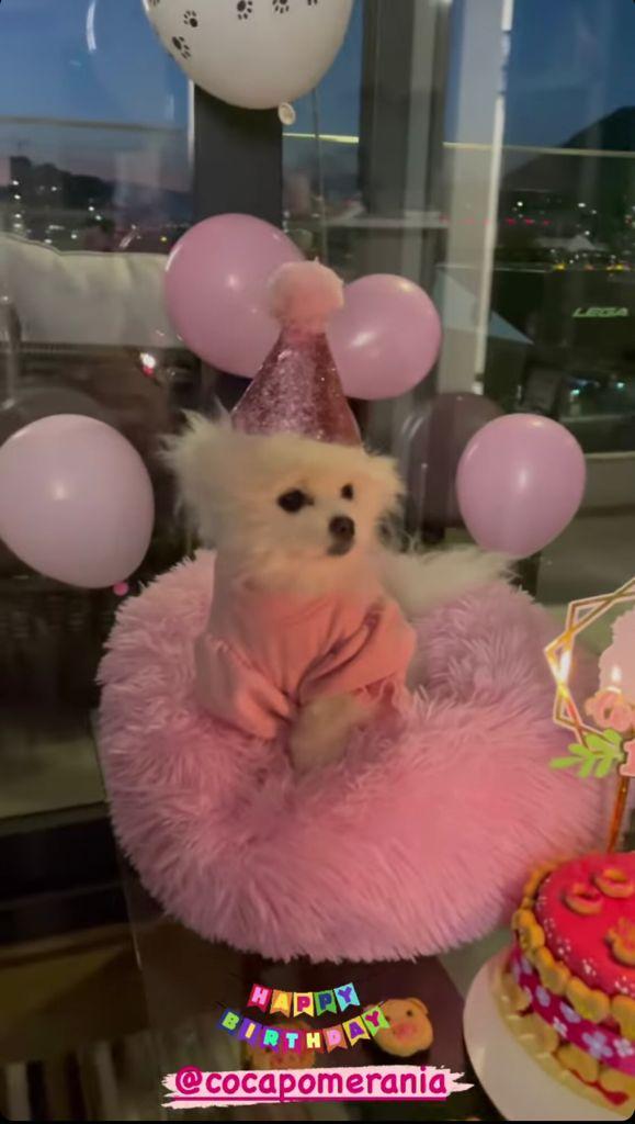 Nano Calderón muestra el primer cumpleaños de su perra