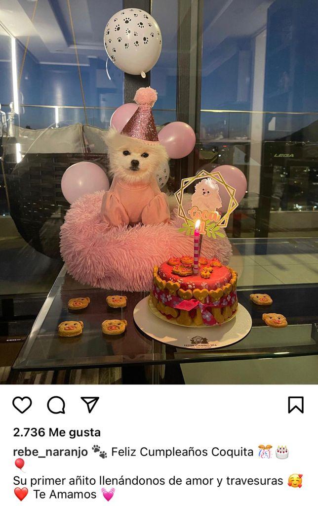 Nano Calderón muestra el primer cumpleaños de su perra