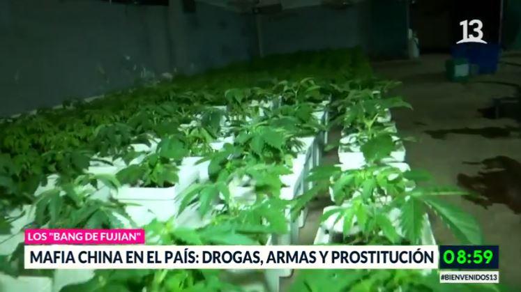 Bienvenidos / Capítulo del 14 de septiembre