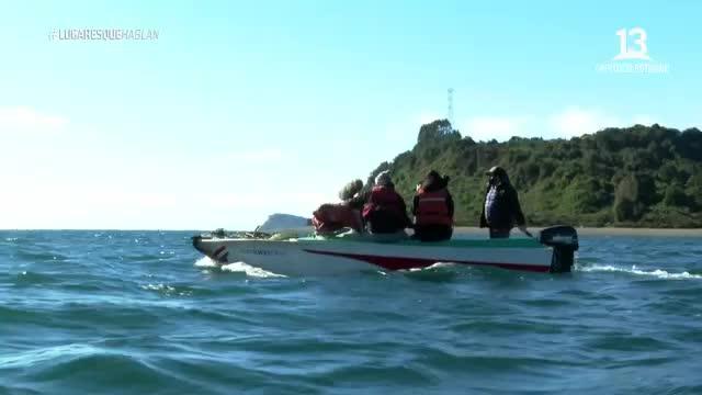 Pancho Saavedra visitó una especie de motel en una isla