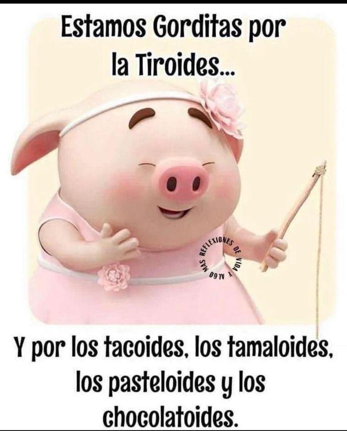 La sentida reflexión de Perla Ilich sobre su vida