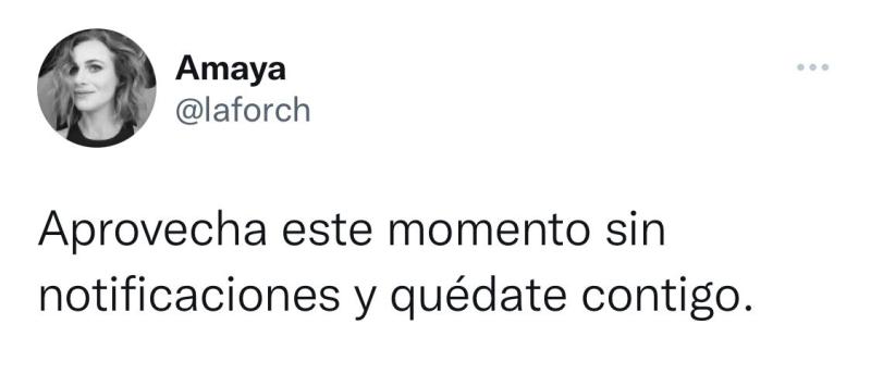 Las reflexiones de Amaya Forch por caída de redes sociales
