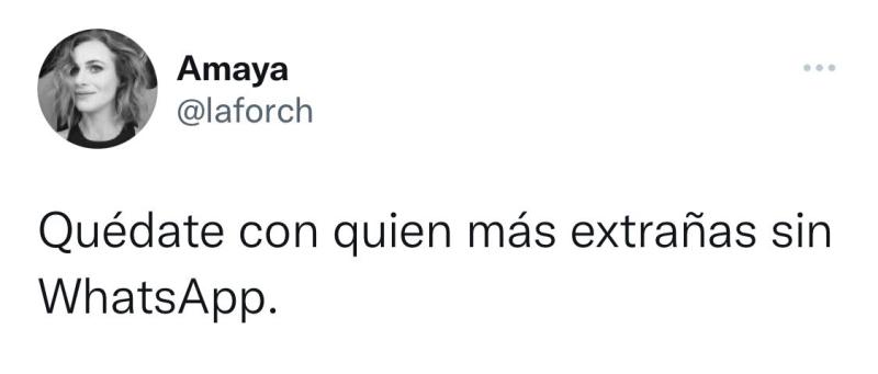 Las reflexiones de Amaya Forch por caída de redes sociales