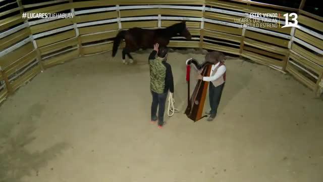 Habitante de Monte Patria y su increíble talento