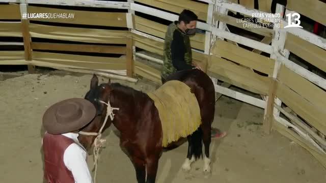 Pancho Saavedra amansó a un caballo