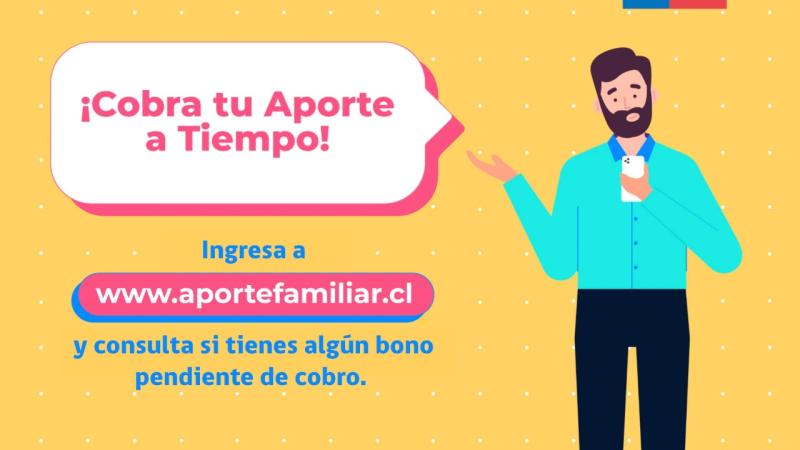 Aporte Familiar Permanente