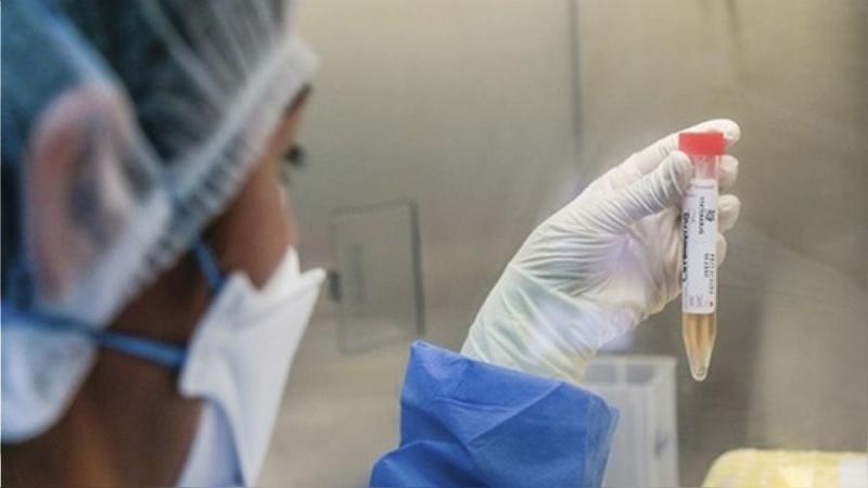 COVID-19: Estas son las regiones donde se identificó presencia de la variante C37 | RPP Noticias