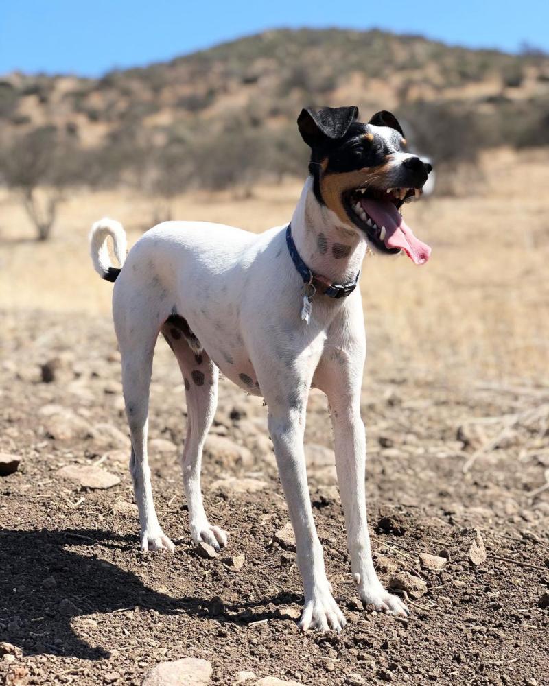 Soledad Onetto vive duro golpe en su vida
