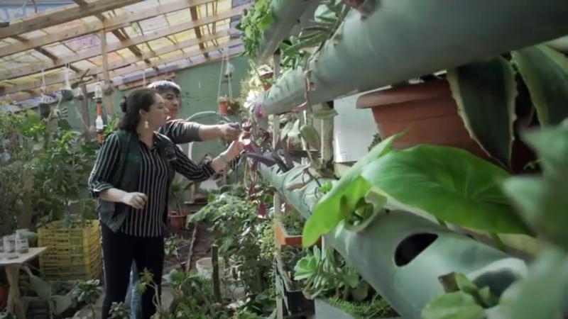 Claudia Caroca realizó un huerto orgánico con ayuda de los reos privados de libertad