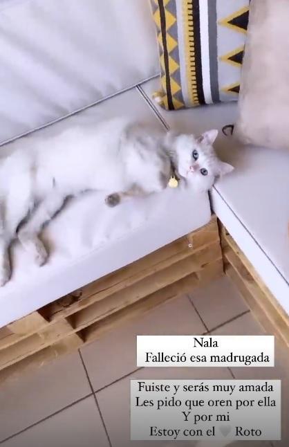 Aylén Milla modela para emprendimiento de Michelle Carvalho