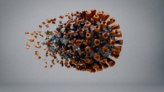 Variante de Botsuana