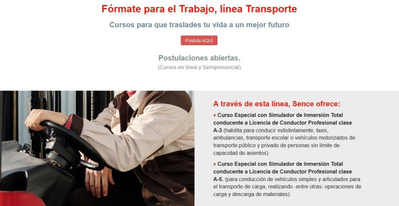 Conductores profesionales