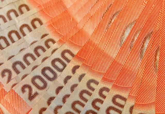 Pensión Garantizada Universal: