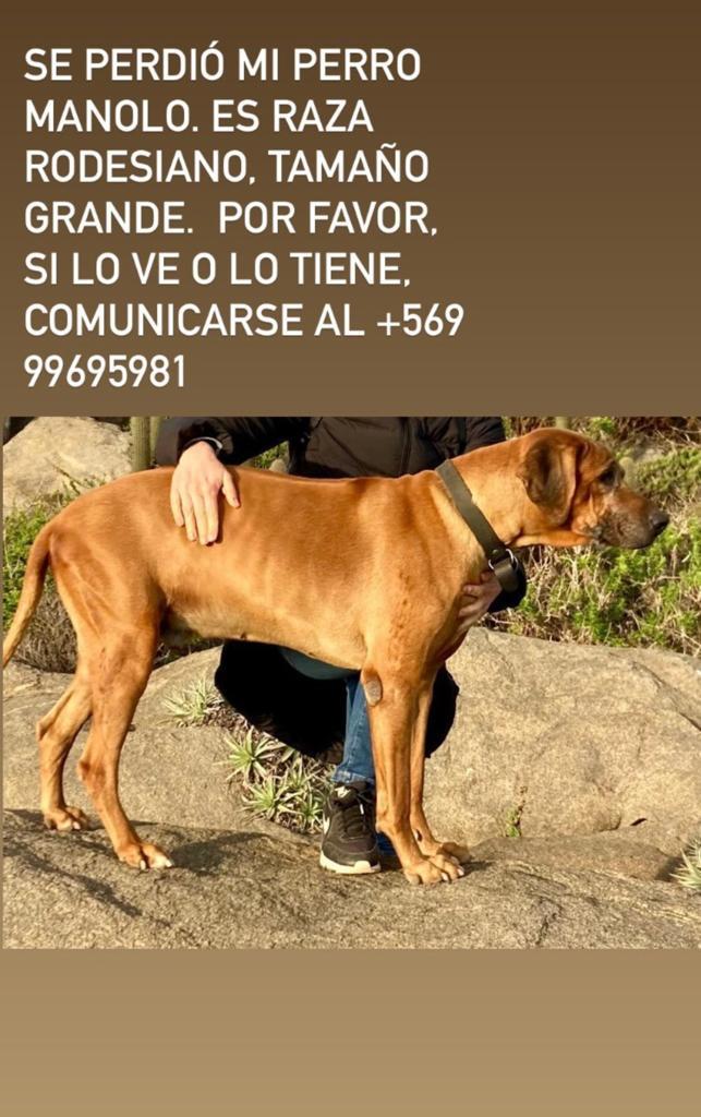 La reflexión de Amparo Noguera tras pérdida familiar