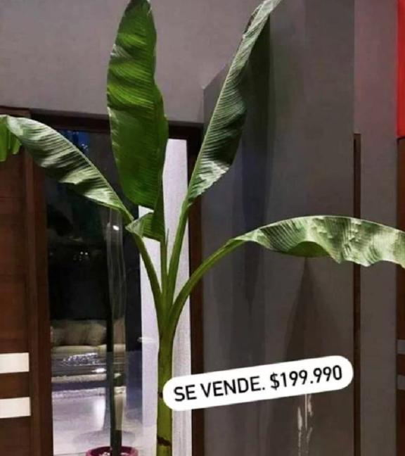 Kathy Bodis reaparece con video sin filtro de su cara