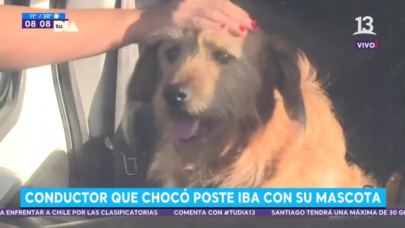 Iba con su mascota: Conductor choca contra poste en Estación Central
