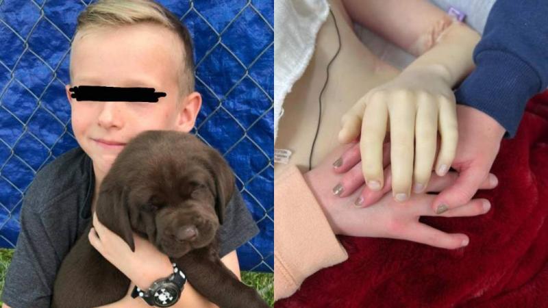 La dura reflexión de Américo por niño de 12 años que se suicidó tras sufrir bullying