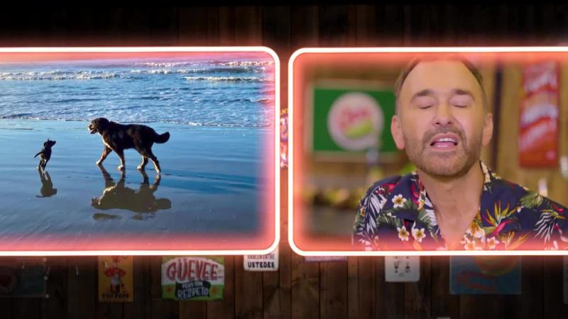 Socios de la parrilla