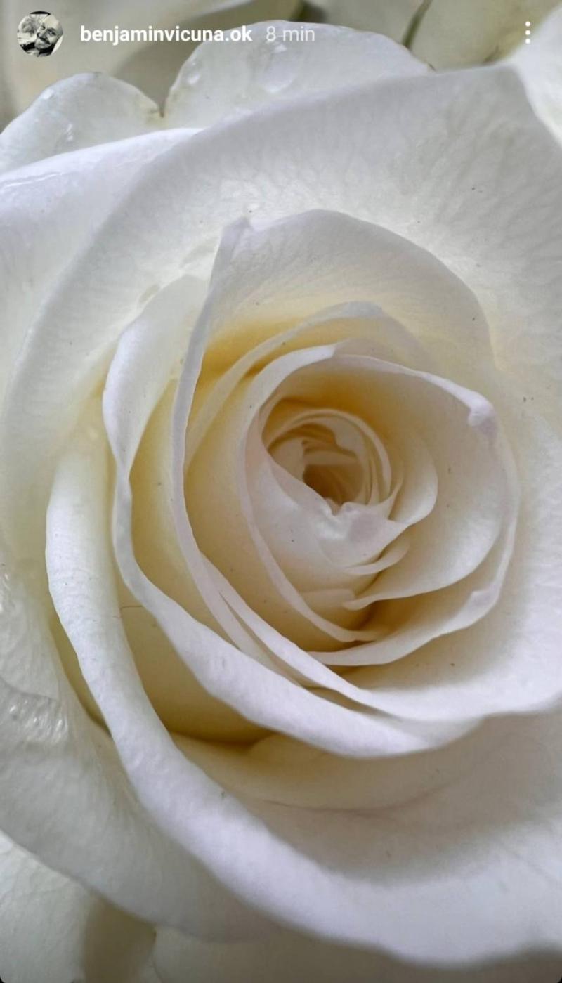 Benjamín Vicuña recuerda a su hija Blanca con emotiva postal