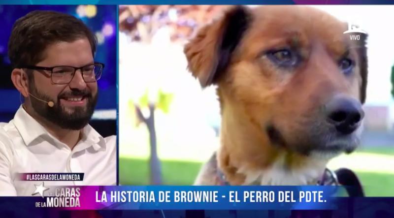 Conoce la historia de Brownie: El primer perro de la República