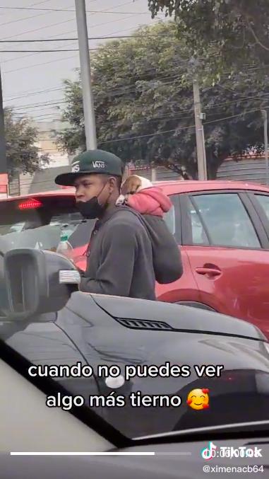 Ternura total: Joven conmueve al trabajar en semáforo acompañado por su perrito