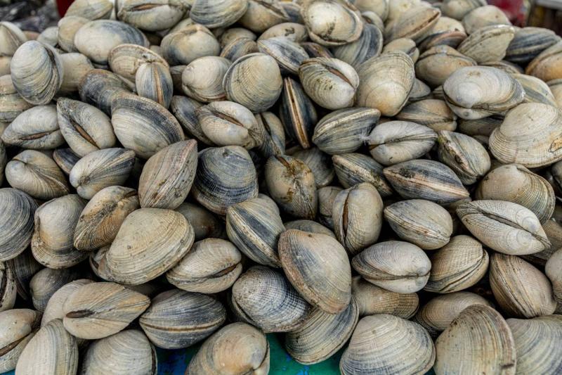 Evite intoxicaciones: En esto se tiene que fijar a la hora de consumir mariscos y pescados