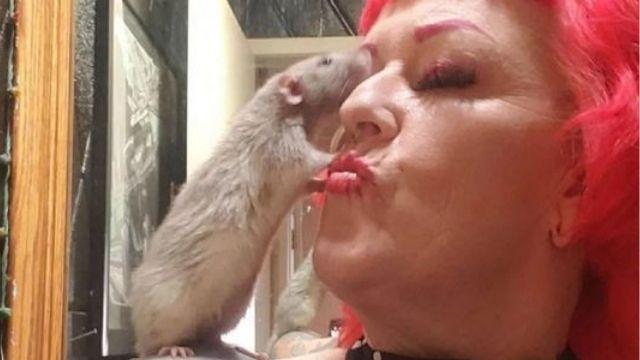 Mujer dueña de 50 ratas paralizó RRSS: Las baña y las trata como hijos
