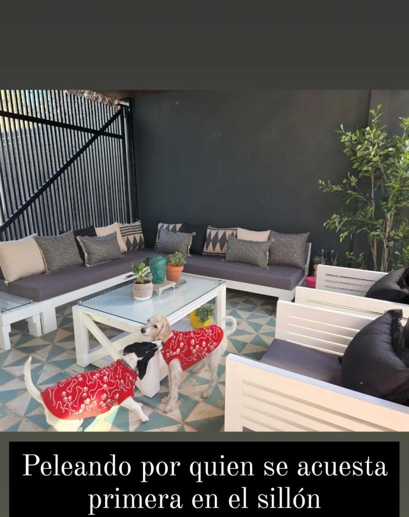 Puro estilo: Así quedó la casa de Connie Achurra tras remodelación