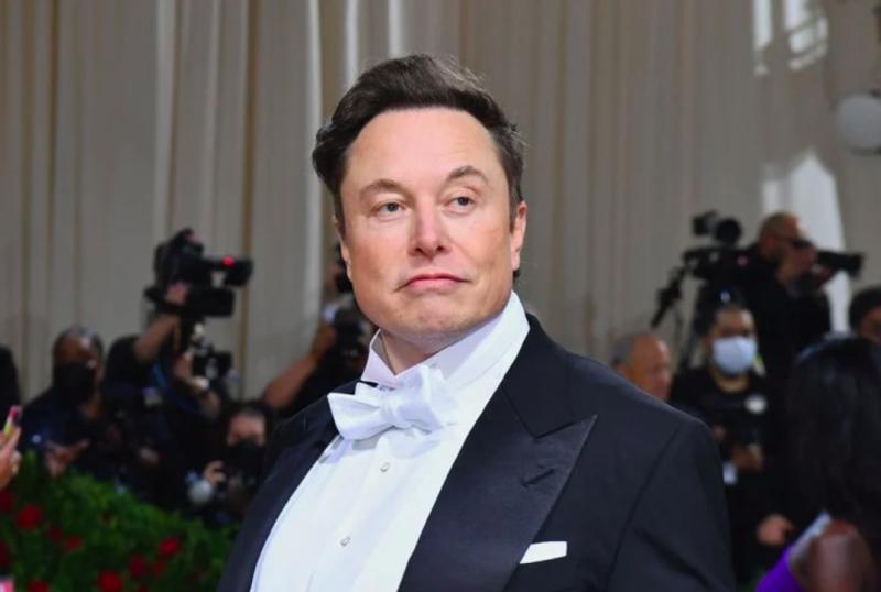 Aseguran que Elon Musk pagó 250 mil dólares