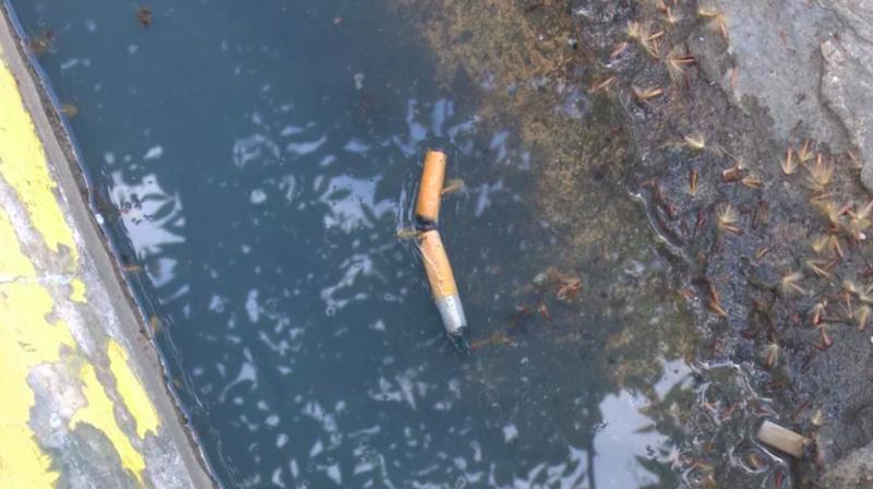 Día Mundial Sin Tabaco