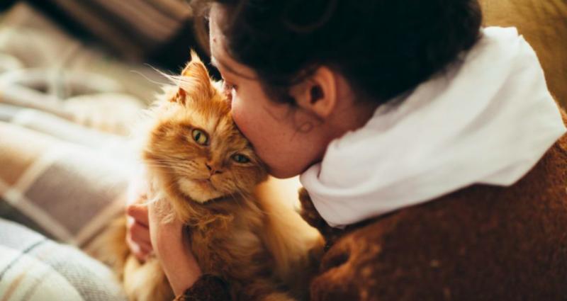 las mujeres y los gatos