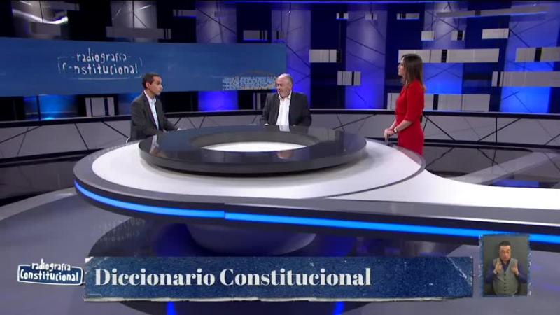 ¿Entre los más extensos del mundo?: Expertos se refieren a la extensión del borrador de la Nueva Constitución