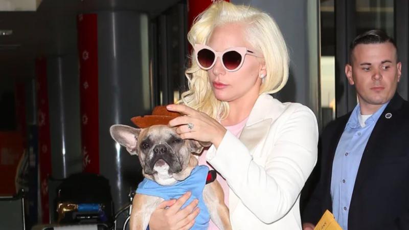 Día Mundial del Lupus