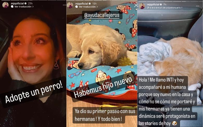 María José Quintanilla