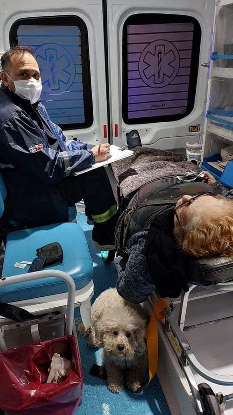 ¡Hasta en la ambulancia! Se desvaneció en la calle y su perrito no se despegó de ella en ningún momento