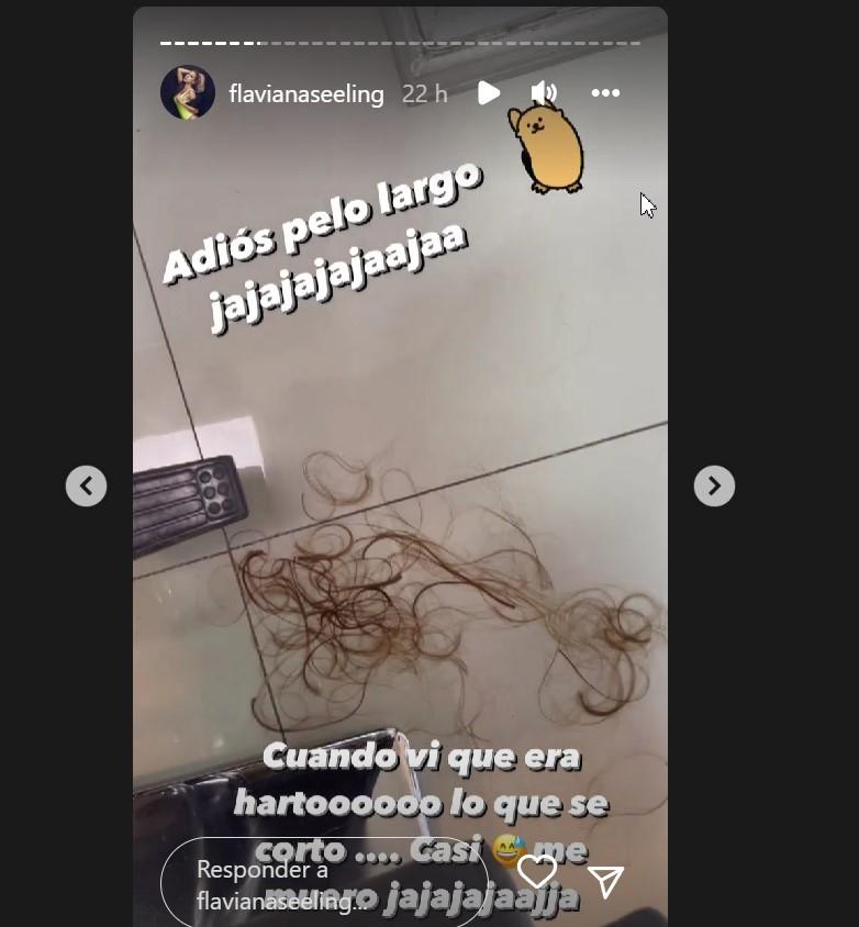 Historia de Instagram de Flaviana Seeling
