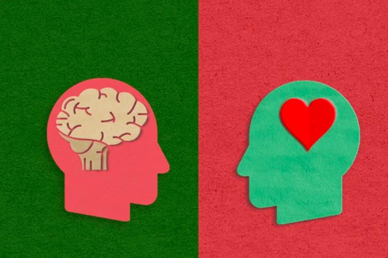 Rasgos de la personalidad que indican que eres una persona con mayor inteligencia